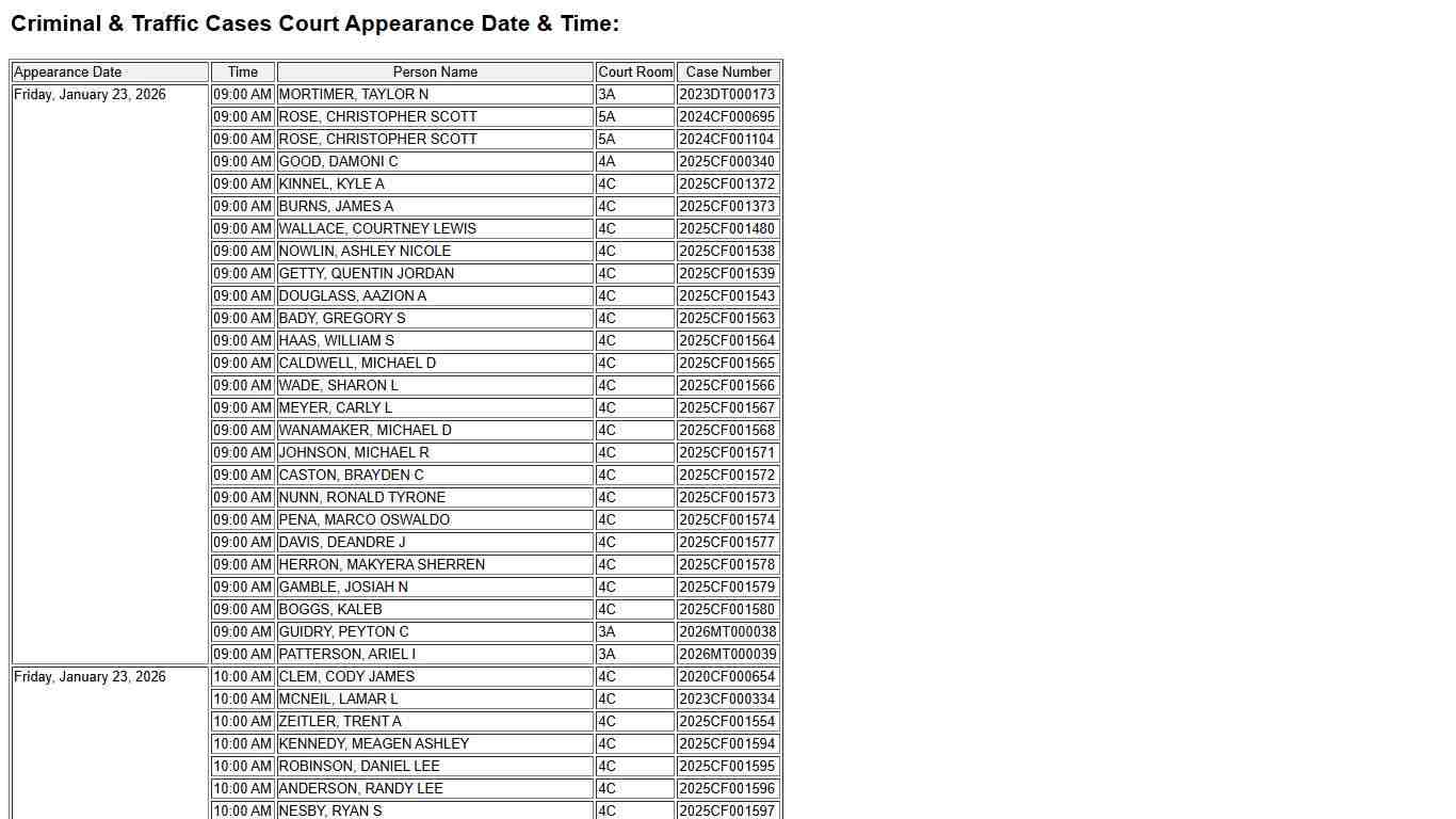 Dockets Criminal & Traffic Cases
